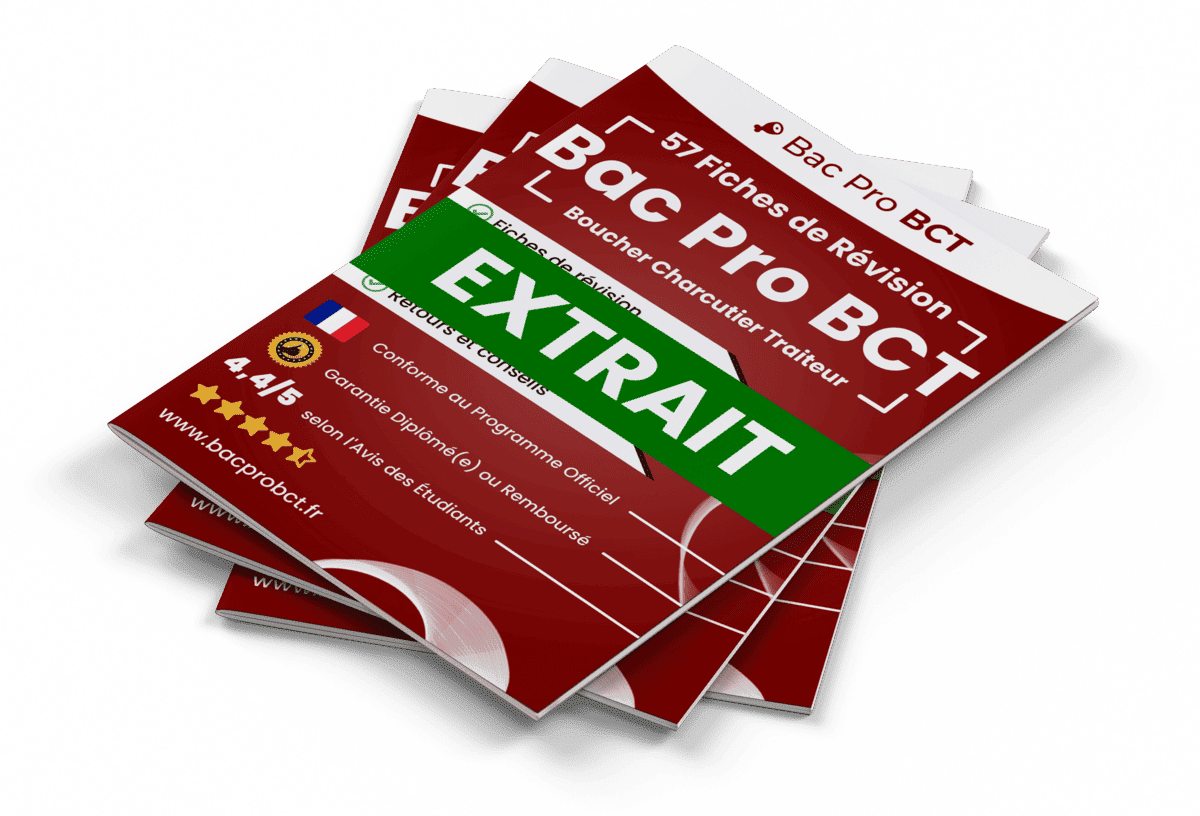 15 Fiches Révision gratuites Bac Pro BCT