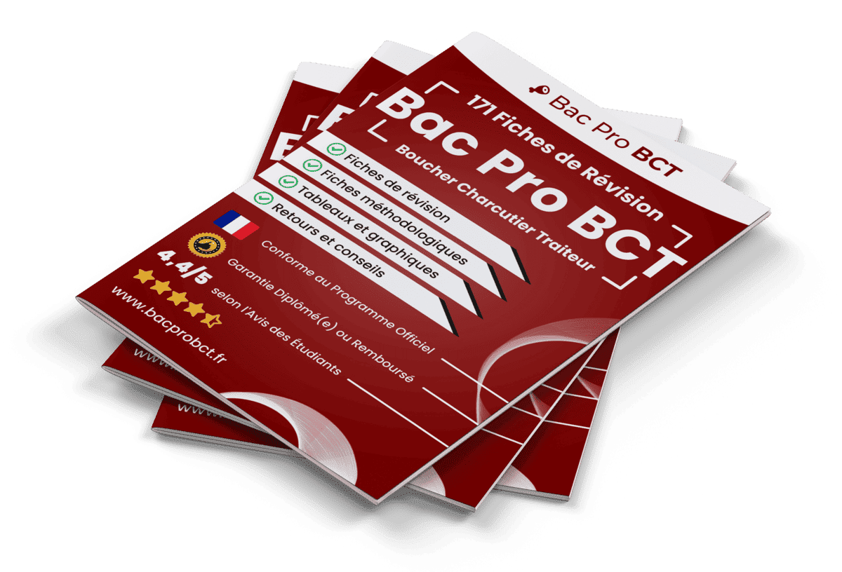171 Fiches de Révision pour le Bac Pro BCT